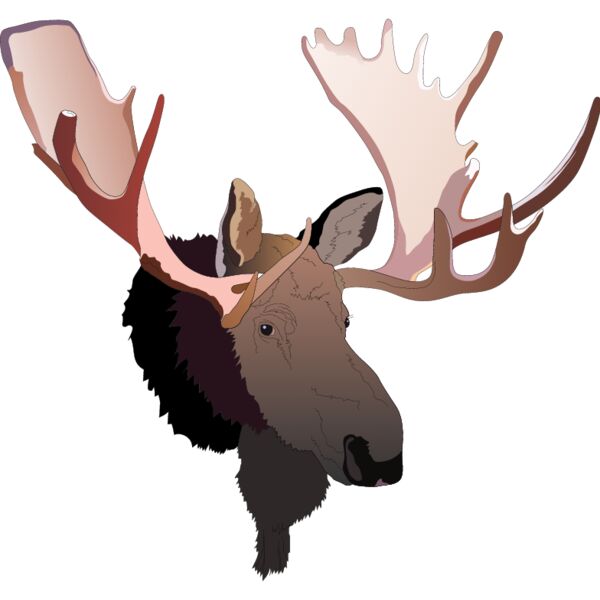 PG50725 Miniaturansicht