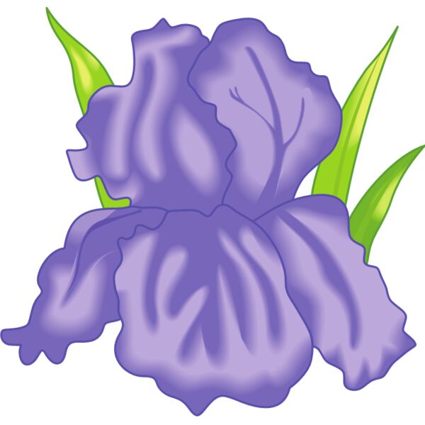 PG60391 Miniaturansicht