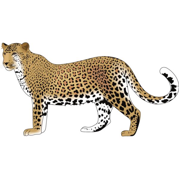 PG59924 Miniaturansicht