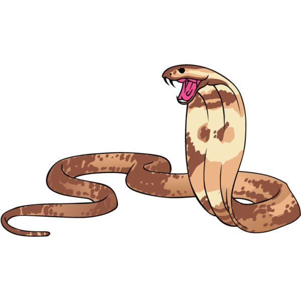 PG67655 Miniaturansicht