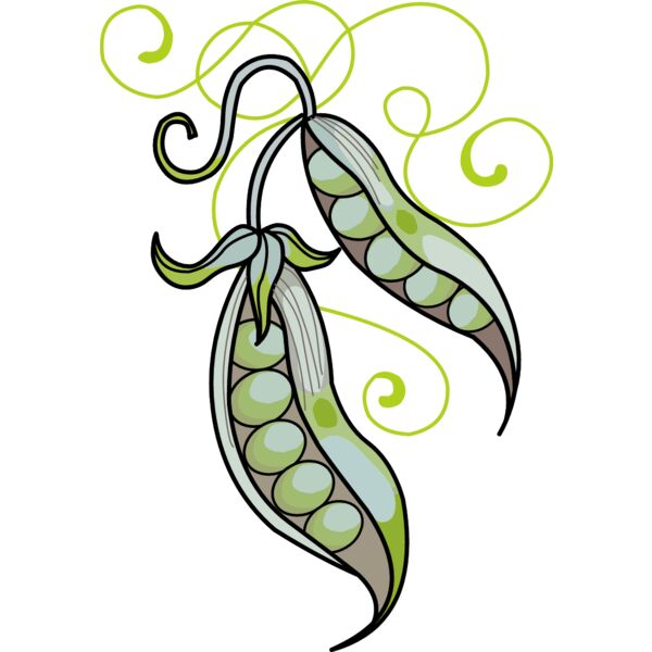 PG15563 Miniaturansicht