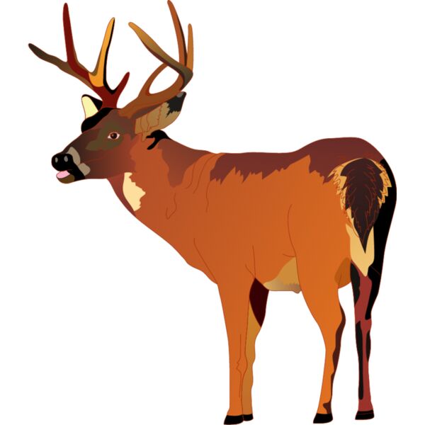 PG50621 Miniaturansicht