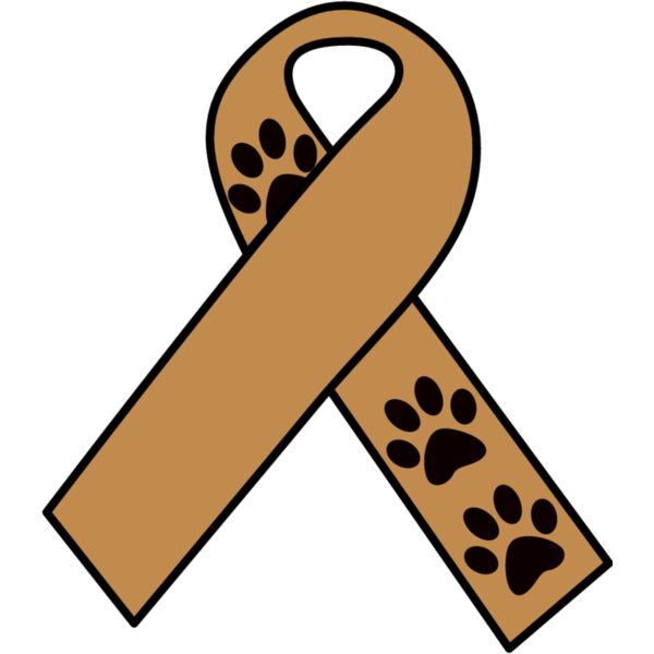 PG60813 Miniaturansicht