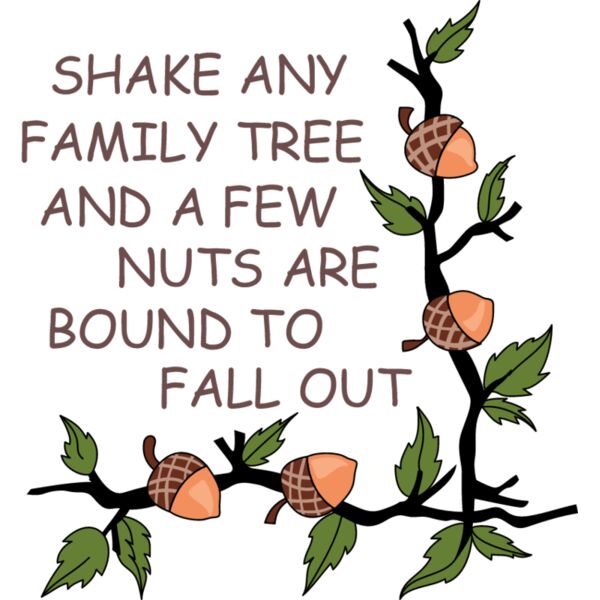 PG18275 Miniaturansicht