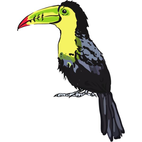 PG76632 Miniaturansicht