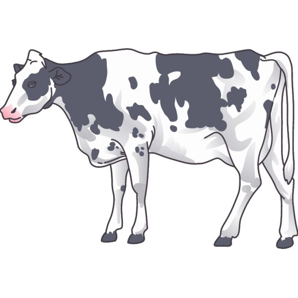 PG67500 Miniaturansicht