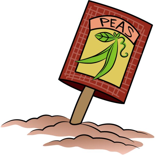 PG88887 Miniaturansicht