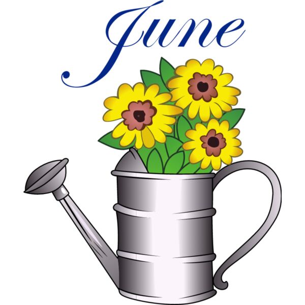 PG72987 Miniaturansicht