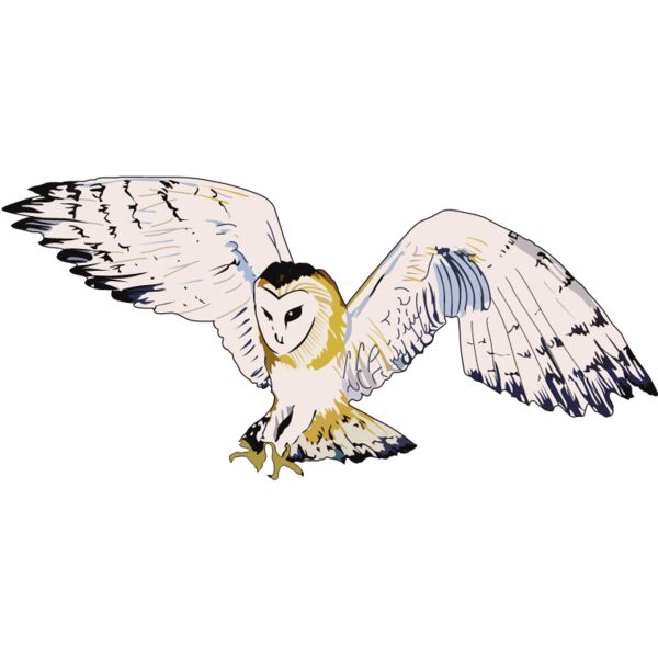 PG79380 Miniaturansicht