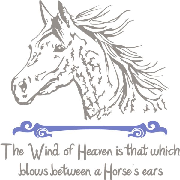 PG87903 Miniaturansicht