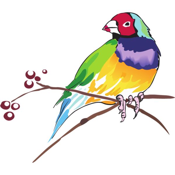 PG77432 Miniaturansicht