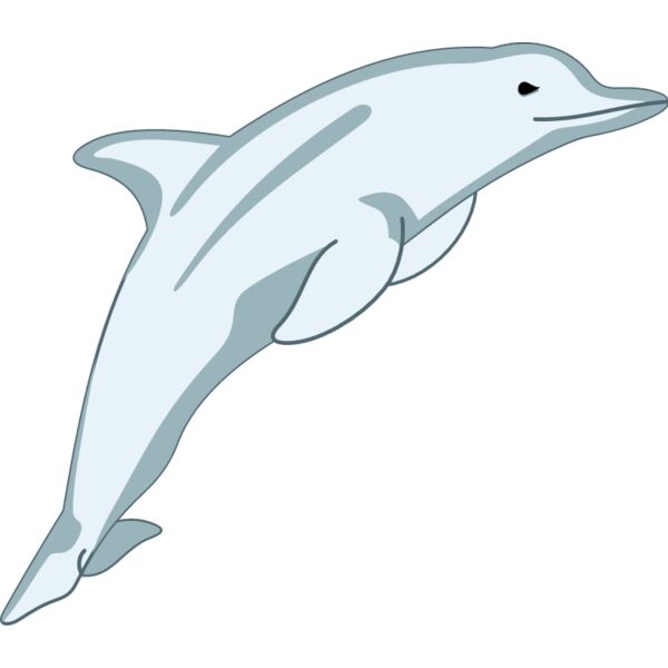 PG45519 Miniaturansicht