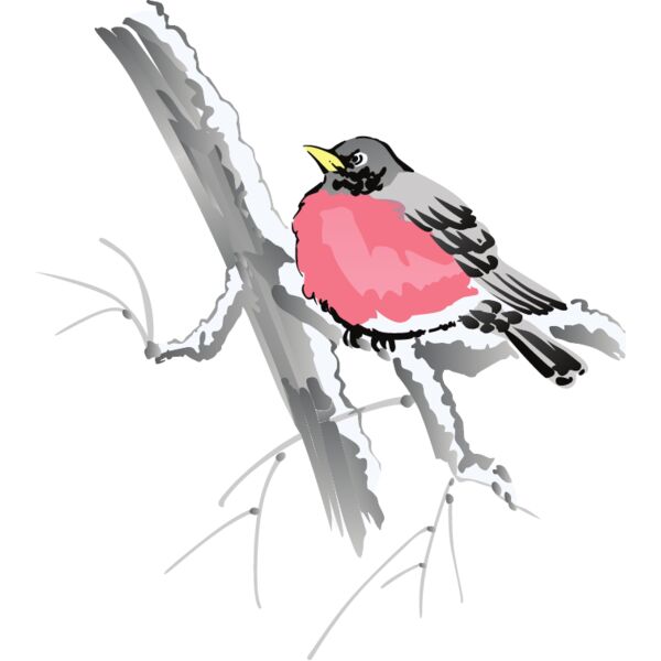 PG67641 Miniaturansicht