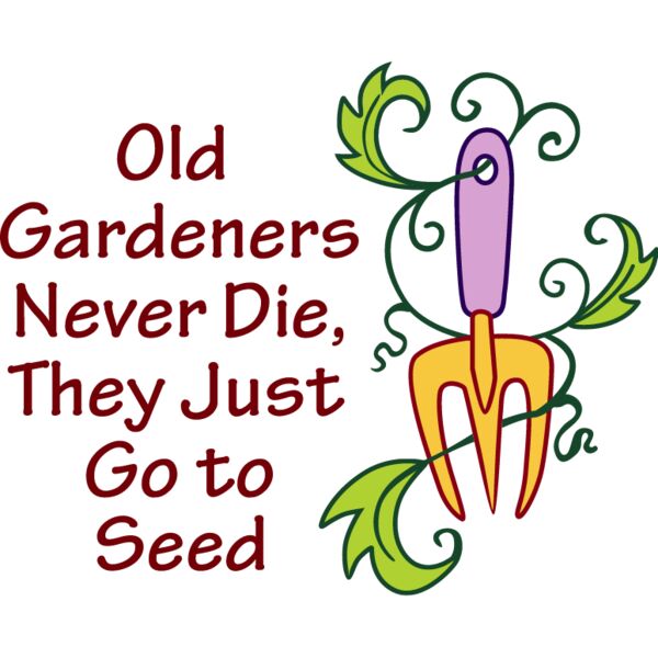 PG46247 Miniaturansicht