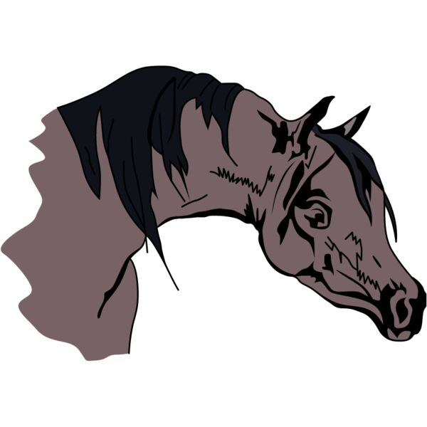 PG50771 Miniaturansicht