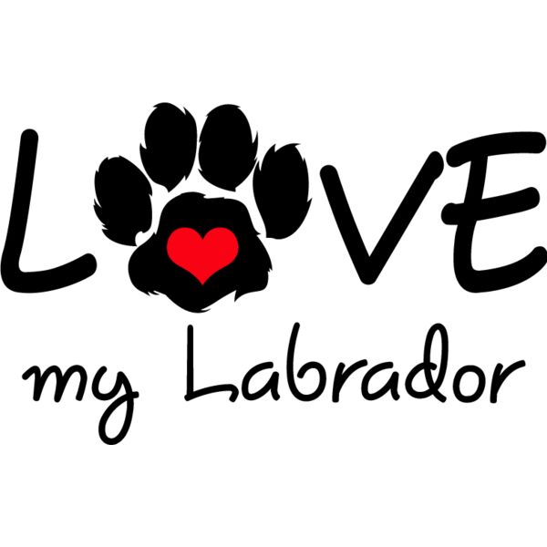 PG63882 Miniaturansicht