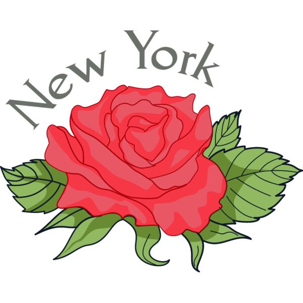 PG45610 Miniaturansicht