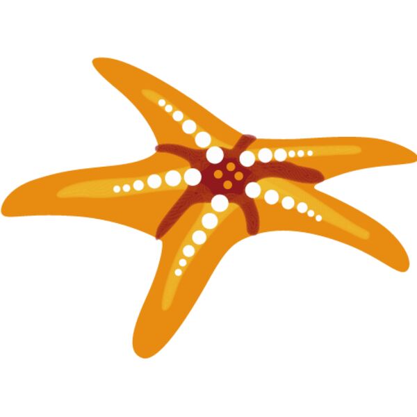 PG88118 Miniaturansicht