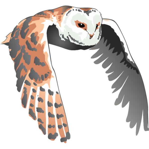 PG67600 Miniaturansicht