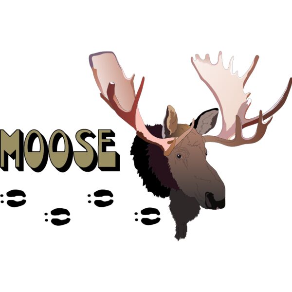 PG50728 Miniaturansicht