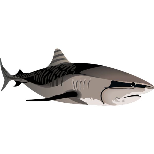 PG52950 Miniaturansicht