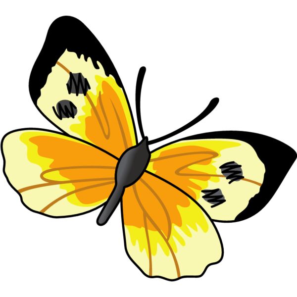 PG59863 Miniaturansicht