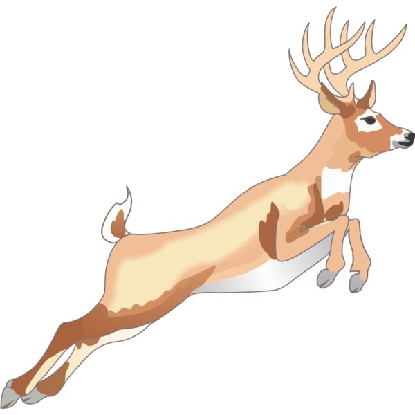 PG67971 Miniaturansicht