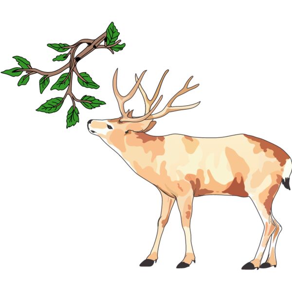 PG70559 Miniaturansicht