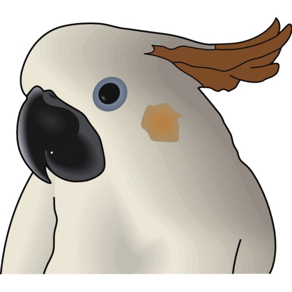 PG63163 Miniaturansicht