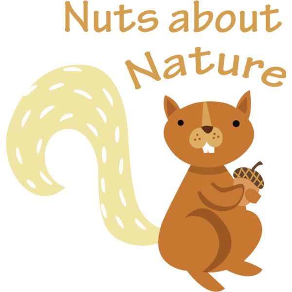 PG92908 Miniaturansicht