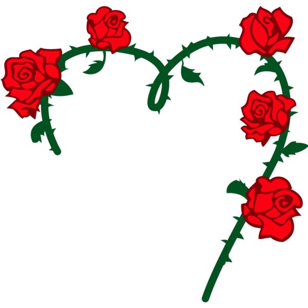 PG72105 Miniaturansicht