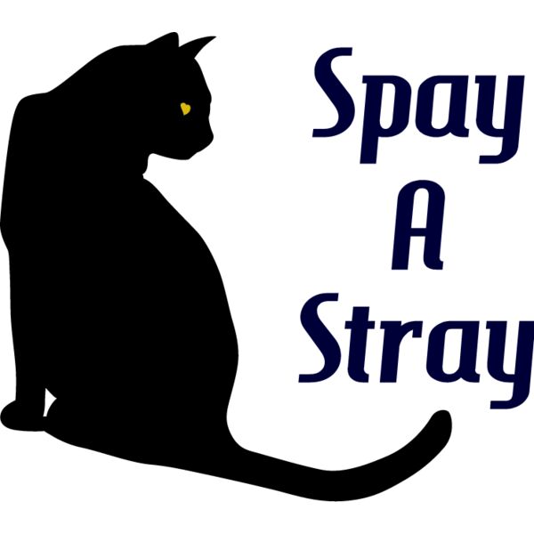 PG77451 Miniaturansicht