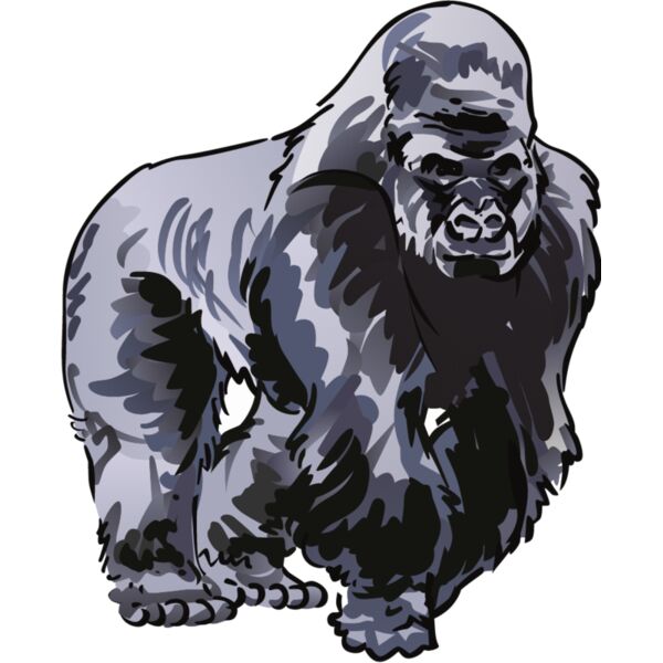 PG92855 Miniaturansicht