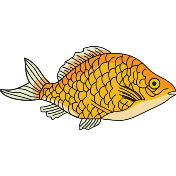 PG18992 Miniaturansicht