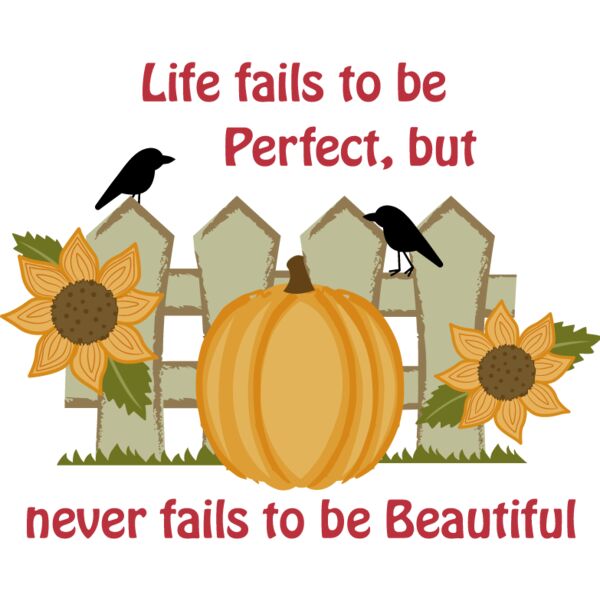 PG94231 Miniaturansicht