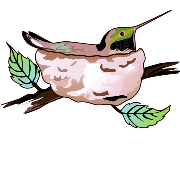 PG66337 Miniaturansicht