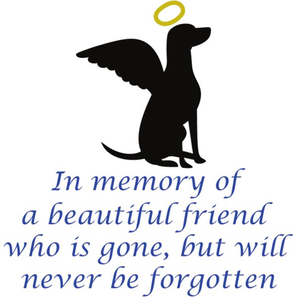 PG63444 Miniaturansicht