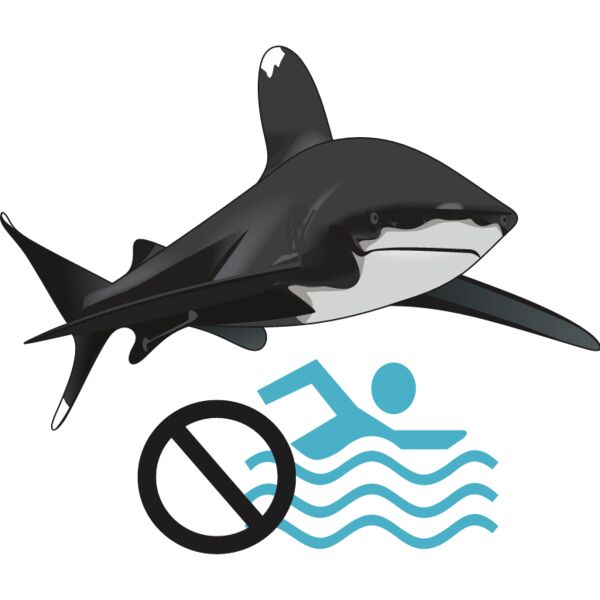 PG52949 Miniaturansicht