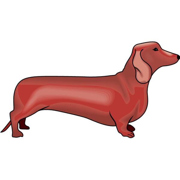 PG60486 Miniaturansicht