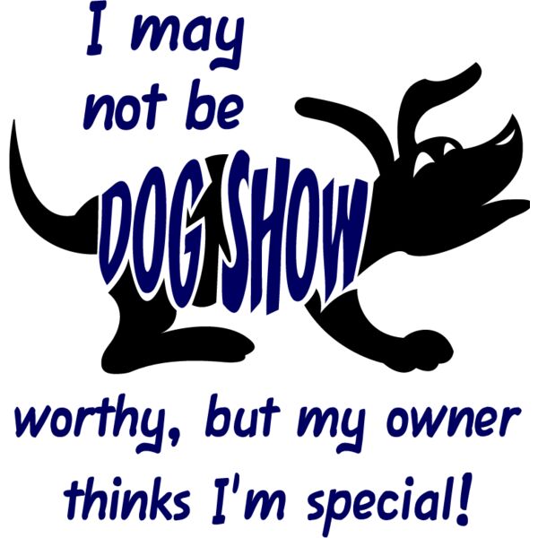 PG76762 Miniaturansicht