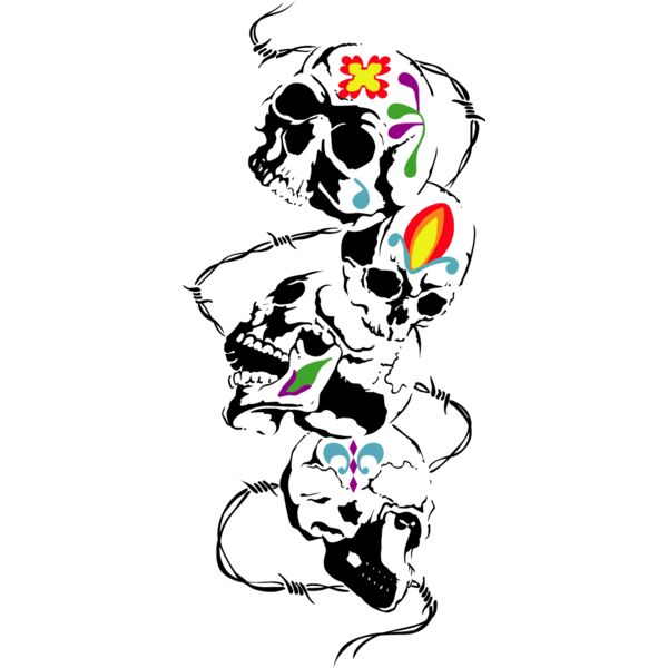 PG52535 Miniaturansicht