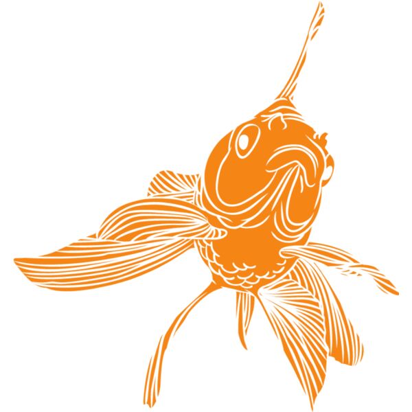 PG72815 Miniaturansicht