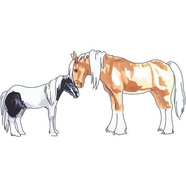 PG87926 Miniaturansicht