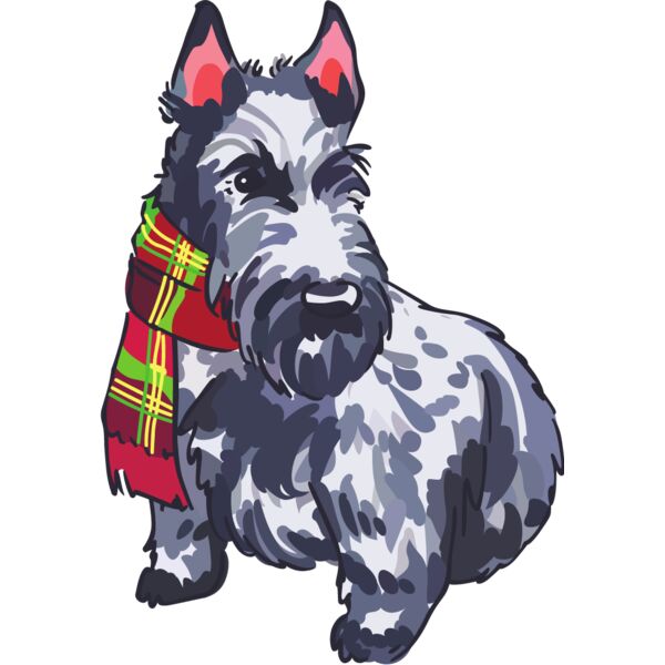 PG85847 Miniaturansicht