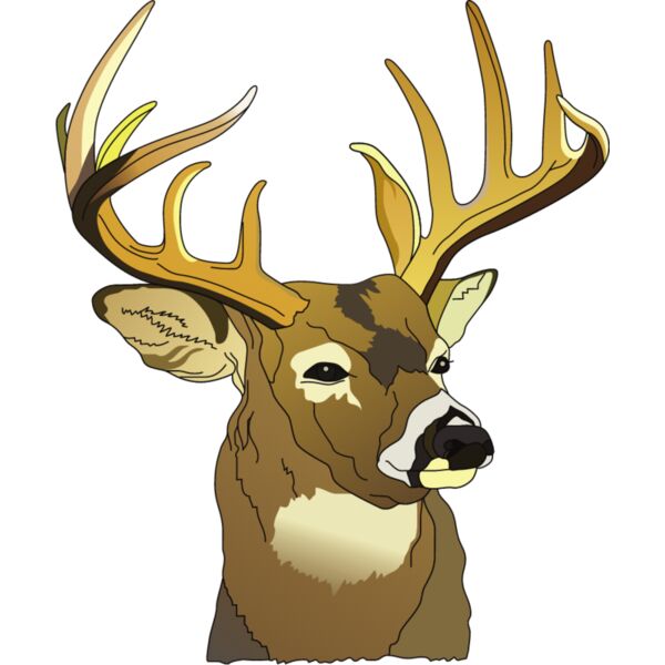 PG50641 Miniaturansicht