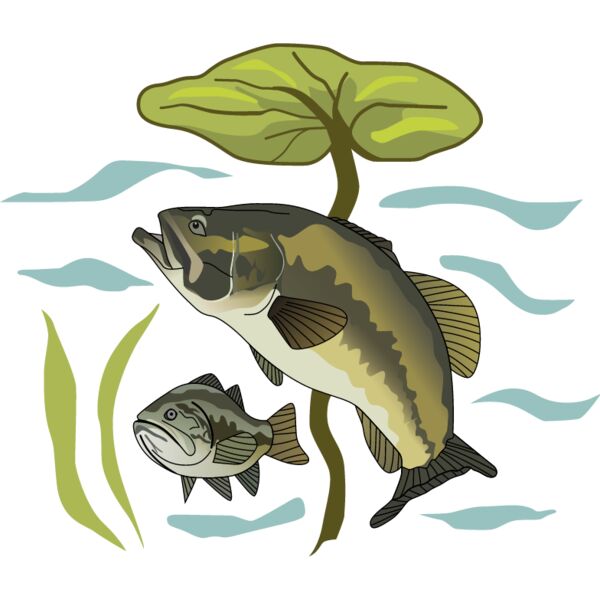 PG55884 Miniaturansicht