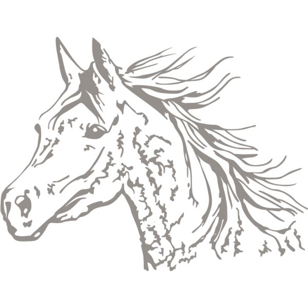 PG87904 Miniaturansicht