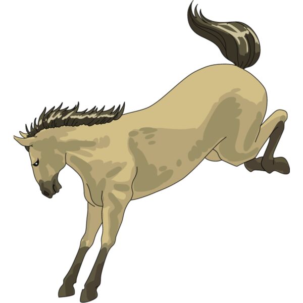 PG67895 Miniaturansicht