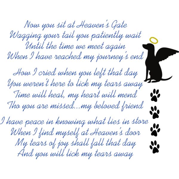 PG63447 Miniaturansicht