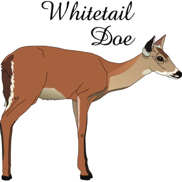 PG50676 Miniaturansicht